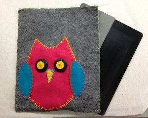 owl case 1